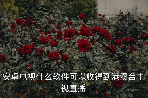 安卓電視什么軟件可以收得到港澳臺電視直播