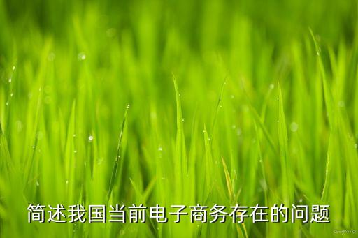 簡(jiǎn)述我國(guó)當(dāng)前電子商務(wù)存在的問(wèn)題