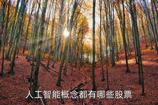 人工智能類的股票都有哪些板塊，人工智能有那些股票