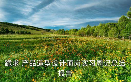 跪求 產(chǎn)品造型設(shè)計(jì)頂崗實(shí)習(xí)周記總結(jié)報(bào)告