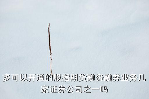 多可以開通的股指期貨融資融券業(yè)務(wù)幾家證券公司之一嗎