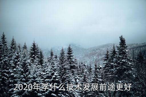 2020年學什么技術發(fā)展前途更好