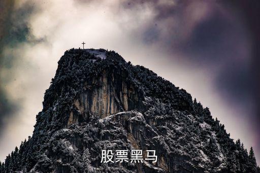 股票黑馬