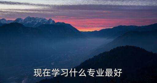 現(xiàn)在學(xué)習(xí)什么專業(yè)最好