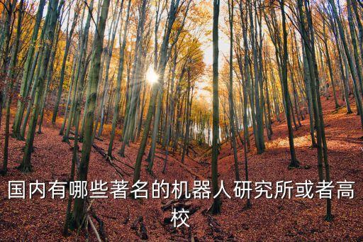 國內(nèi)有哪些著名的機器人研究所或者高校