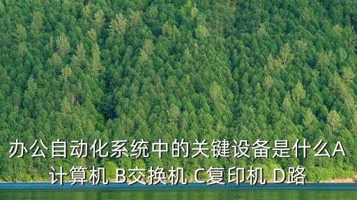 辦公自動化系統(tǒng)中的關(guān)鍵設(shè)備是什么A計算機 B交換機 C復(fù)印機 D路