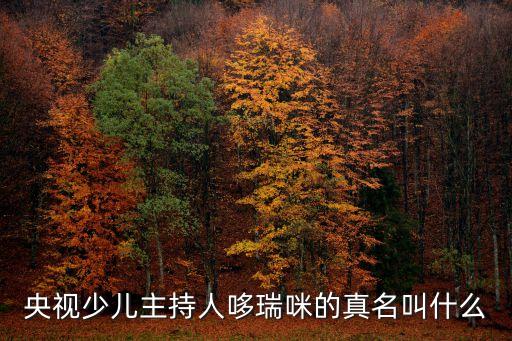 央視少兒主持人哆瑞咪的真名叫什么