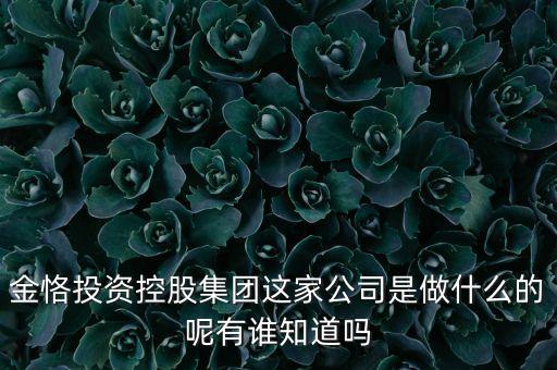 山西金控投資控股有限公司，金恪投資控股集團(tuán)這家公司是做什么的呢有誰(shuí)知道嗎