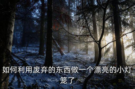 兒童廢品做手工燈籠，如何用廢物做燈籠