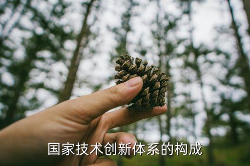 科技創(chuàng)新體系建設(shè)框架圖，南通賽爾科技信息系統(tǒng)有限公司的創(chuàng)新框架是什么樣的啊
