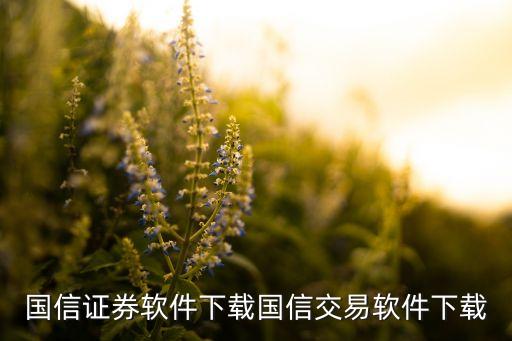 國信證券軟件下載國信交易軟件下載
