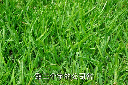 取三個字的公司名