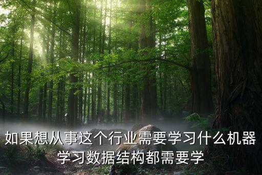如果想從事這個(gè)行業(yè)需要學(xué)習(xí)什么機(jī)器學(xué)習(xí)數(shù)據(jù)結(jié)構(gòu)都需要學(xué)