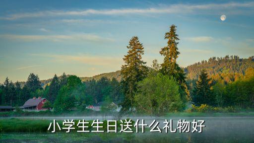小學生生日送什么禮物好