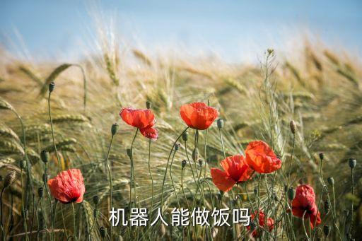 智能機器人炒菜，機器人能做飯嗎