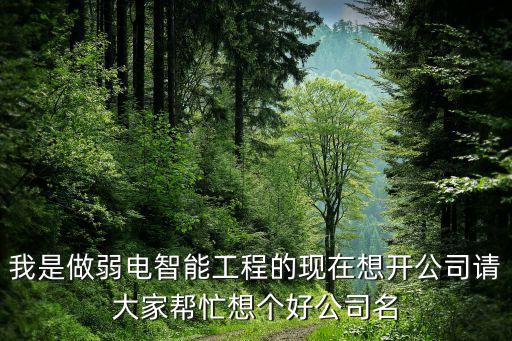 我是做弱電智能工程的現(xiàn)在想開公司請大家?guī)兔ο雮€好公司名