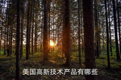 美國有什么高科技產(chǎn)品，美國著名的高科技產(chǎn)業(yè)有哪些