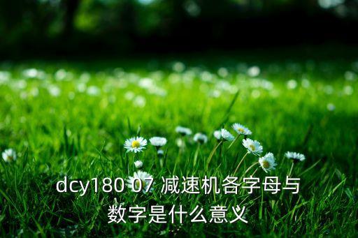 dcy減速機(jī)內(nèi)部結(jié)構(gòu)圖，dcy180 07 減速機(jī)各字母與數(shù)字是什么意義
