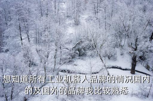 想知道所有工業(yè)機器人品牌的情況國內(nèi)的及國外的品牌我比較熟悉