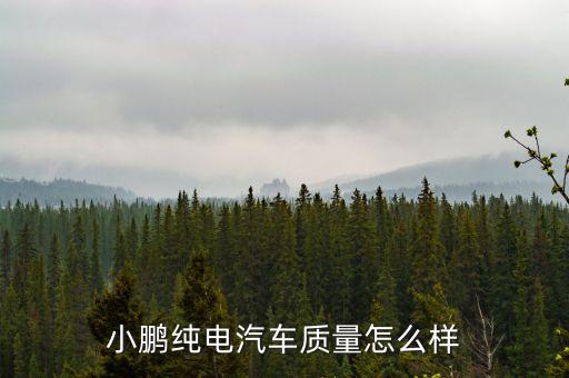 口碑最好的純電動(dòng)汽車小鵬，作為新能源汽車品牌小鵬怎么樣