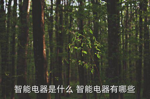 智能電器產(chǎn)品介紹，智能家電的介紹