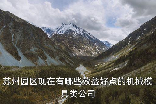 蘇州園區(qū)現(xiàn)在有哪些效益好點(diǎn)的機(jī)械模具類公司