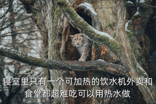 寢室里只有一個可加熱的飲水機外賣和食堂都超難吃可以用熱水做