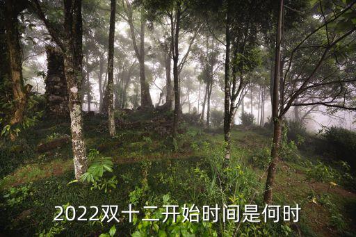 2022雙十二開始時(shí)間是何時(shí)