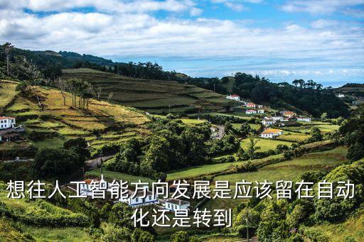 人工智能屬于自動(dòng)化專業(yè)嗎，想往人工智能方向發(fā)展是應(yīng)該留在自動(dòng)化還是轉(zhuǎn)到