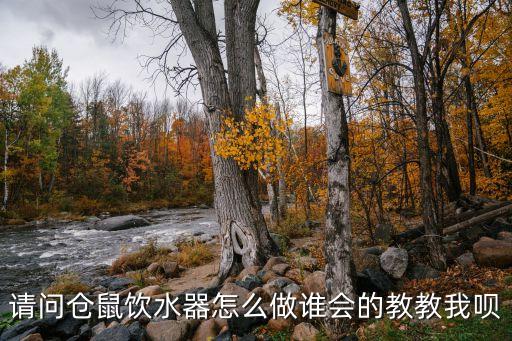 請問倉鼠飲水器怎么做誰會的教教我唄
