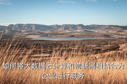 如何將大數(shù)據(jù)云計算和物聯(lián)網(wǎng)相結(jié)合為企業(yè)進(jìn)行服務(wù)