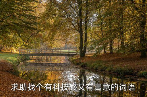 求助找個(gè)有科技感又有寓意的詞語(yǔ)