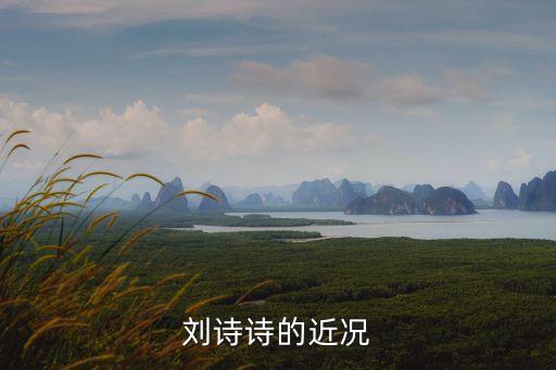 劉詩(shī)詩(shī)的近況