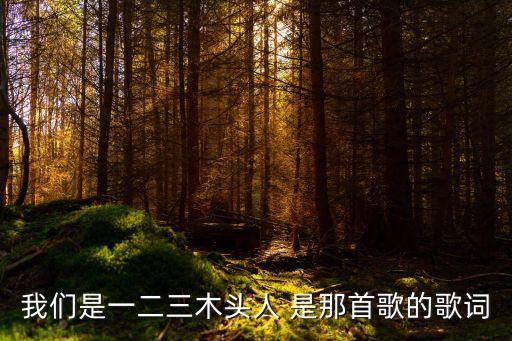 我們是一二三木頭人 是那首歌的歌詞