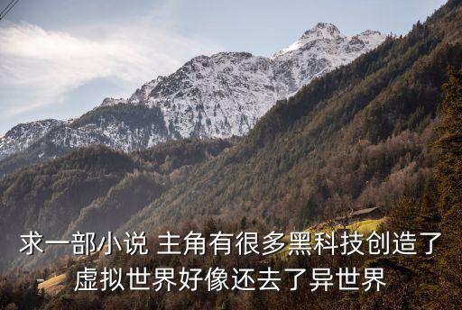 求一部小說 主角有很多黑科技創(chuàng)造了虛擬世界好像還去了異世界