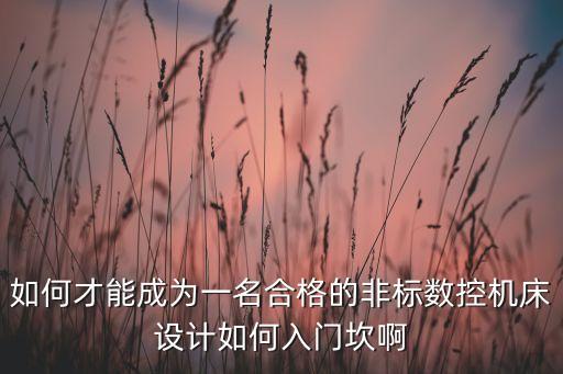 如何才能成為一名合格的非標(biāo)數(shù)控機(jī)床設(shè)計如何入門坎啊