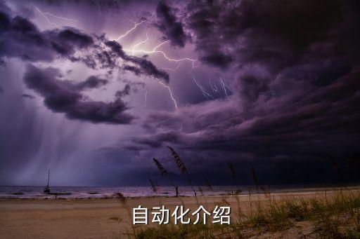 自動化以什么為主體，圖書館自動化的含義