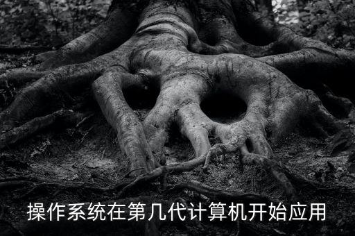 在軟件方面第一代計(jì)算機(jī)主要使用，第一代計(jì)算機(jī)的主要應(yīng)用領(lǐng)域是