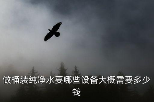 桶裝水凈化設(shè)備多少錢，做桶裝純凈水要哪些設(shè)備大概需要多少錢