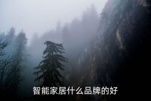 智能家居什么品牌的好