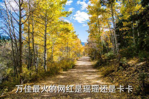 萬佳最火的網(wǎng)紅是瑤瑤還是卡卡