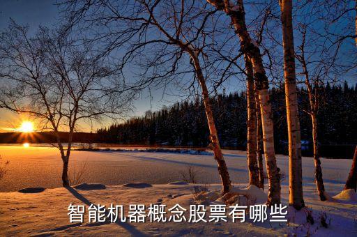 機器智能概念股，機器人概念股有哪些