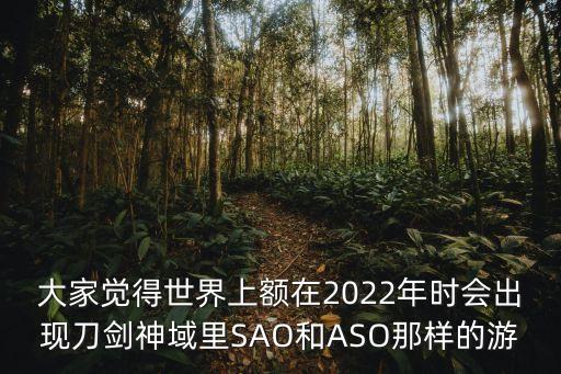 大家覺得世界上額在2022年時會出現(xiàn)刀劍神域里SAO和ASO那樣的游