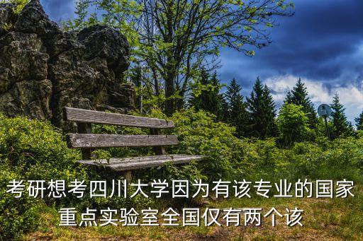 考研想考四川大學(xué)因?yàn)橛性搶I(yè)的國家重點(diǎn)實(shí)驗(yàn)室全國僅有兩個(gè)該