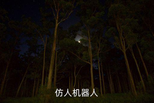 仿人機(jī)器人
