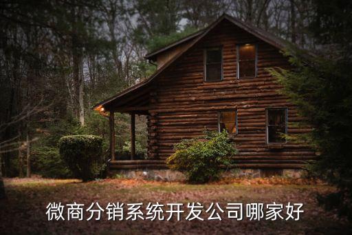 微商分銷系統(tǒng)開(kāi)發(fā)公司哪家好