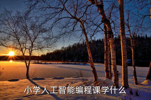 小學(xué)人工智能編程課學(xué)什么