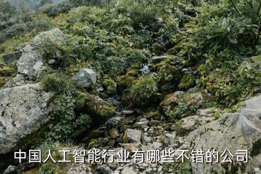 中國比較好的ai公司，國內(nèi)都哪些比較牛的人工智能公司