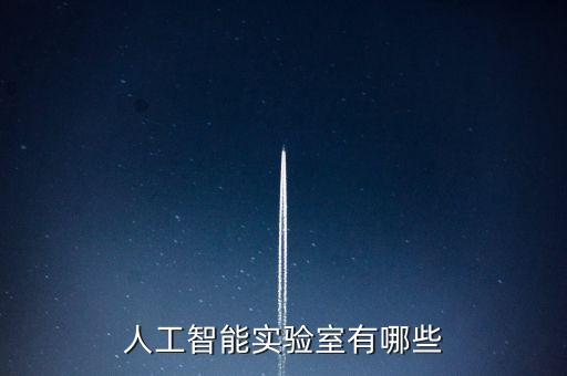 國家人工智能實驗室 上海，人工智能實驗室有哪些