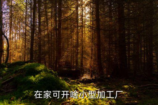 在家可開啥小型加工廠
